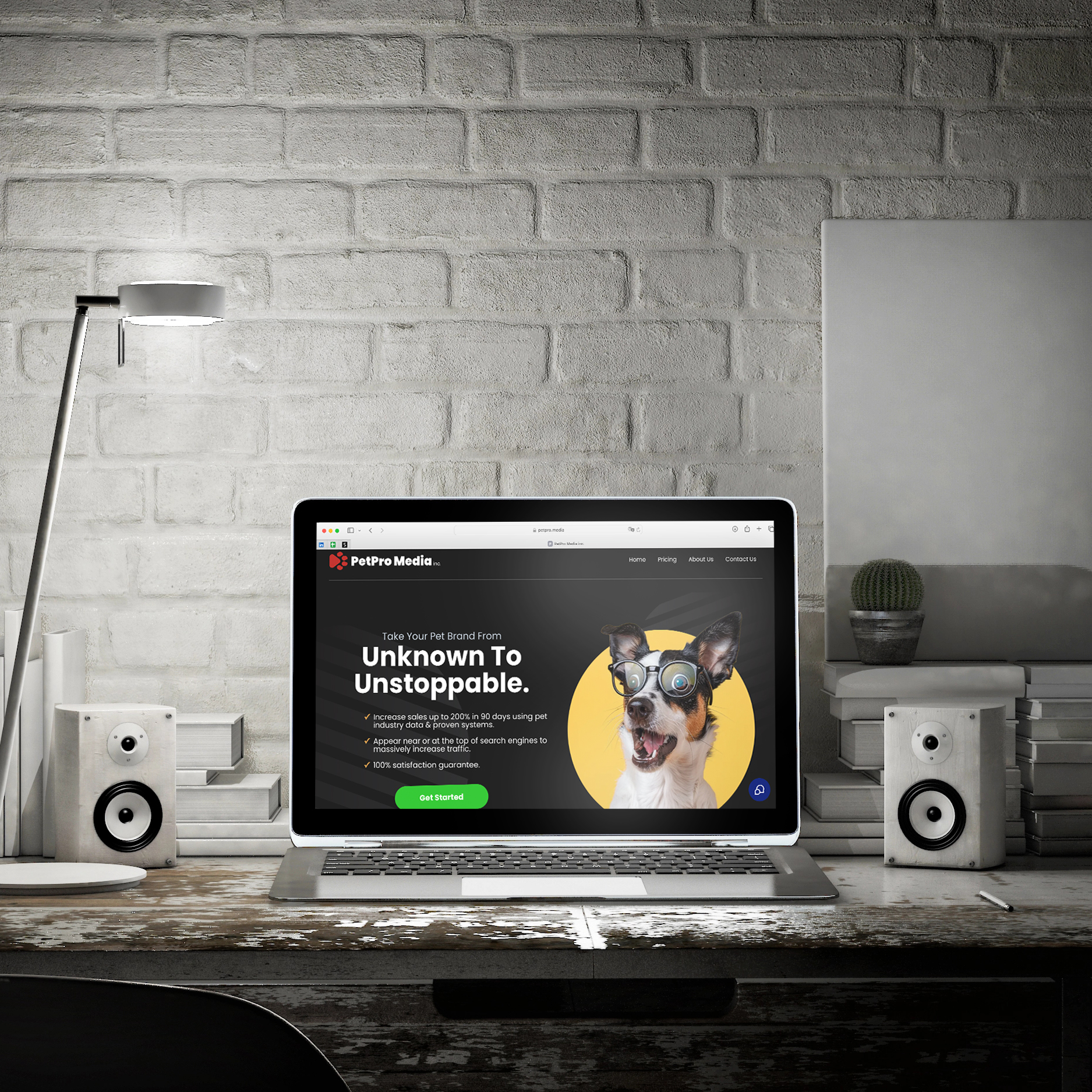 PetPro Media Inc.: PetPro Media: Unknown to Unstoppable
